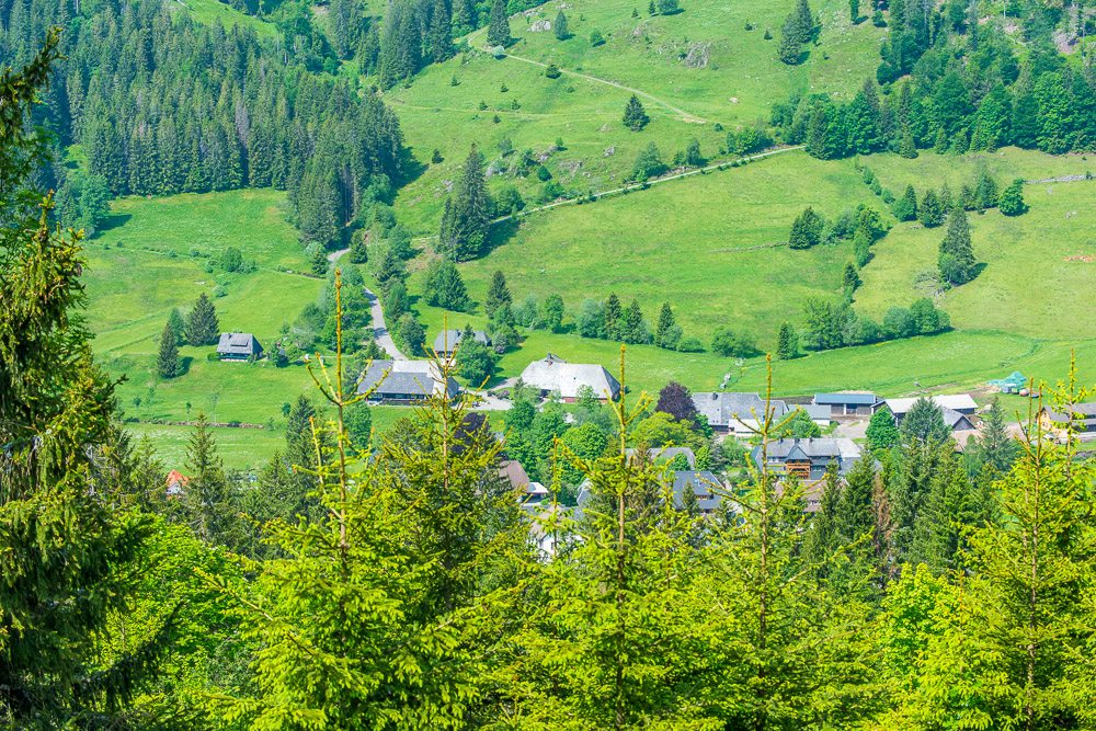 20210611_michel6_2021_023